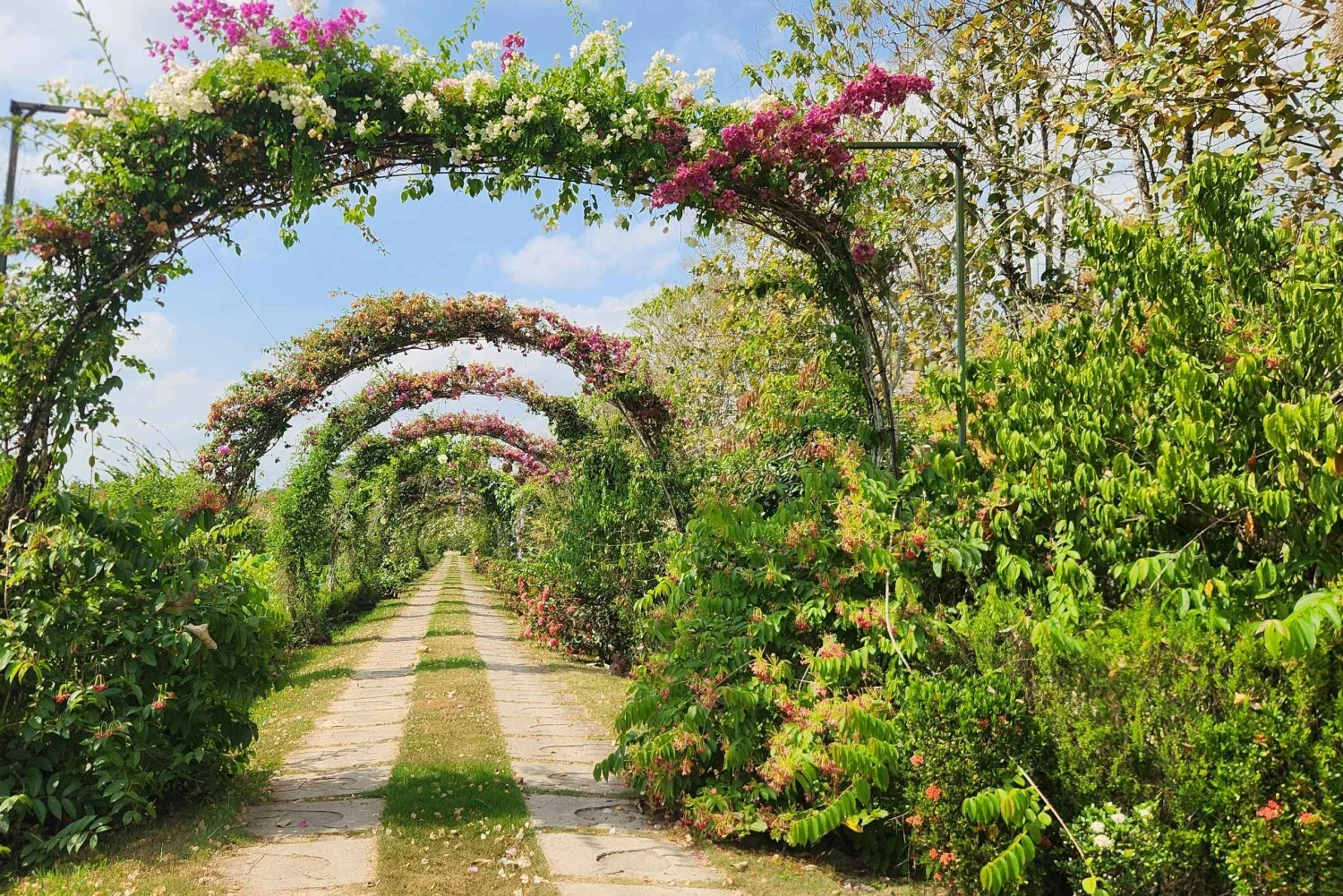 Spice farm tour in Southern Belize